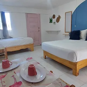 https://apto-los-blancos-a-dos-minuto-de-los-patos-81000.greaterantilleshotels.net