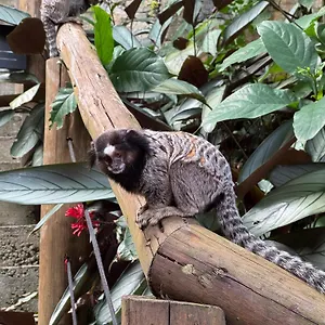 Aldeia Niura Opy Florianópolis