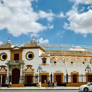 https://santas-patronas-street-center.es-andalucia.com